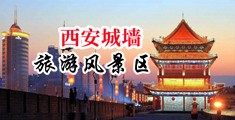 性感黄色美女操逼大干中国陕西-西安城墙旅游风景区